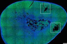 华宇登录,华宇登陆