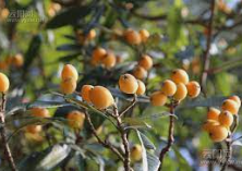 华宇平台黑钱不?,华宇官网