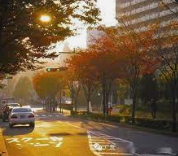 华宇手机登录,华宇登录中心